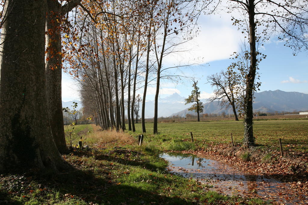 Agriturismo La Virginia Villa Revello Ngoại thất bức ảnh